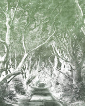 Komar Alley Graphite Papier Peint Intissé 200x250cm 2 bandes | Yourdecoration.fr