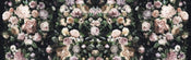Komar Victoria Black Papier Peint Intissé 800x250cm 8 bandes | Yourdecoration.fr