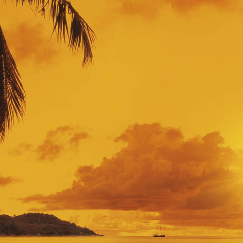 Komar Sunset Papier Peint 368x254cm | Yourdecoration.fr