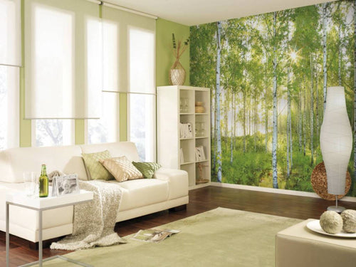 Komar Sunday Papier Peint National Geographic 368x254cm | Yourdecoration.fr