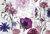 Komar Purple Papier Peint 368x254cm | Yourdecoration.fr