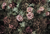 Komar Velvet Papier Peint 368x254cm | Yourdecoration.fr
