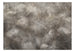 Papier Peint - Scattered By the Wind - Intissé