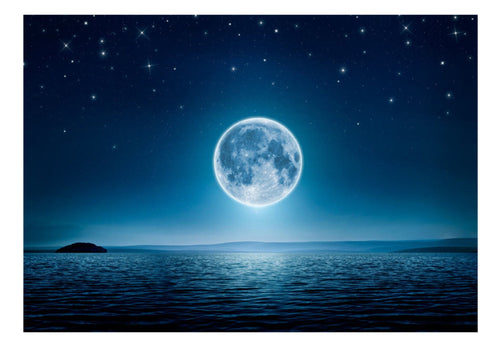 Papier Peint - Moonlit Night - Intissé