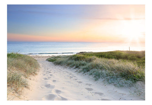 Papier Peint - Morning Walk on the Beach - Intissé