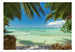 Papier Peint - Relaxing on the Beach - Intissé