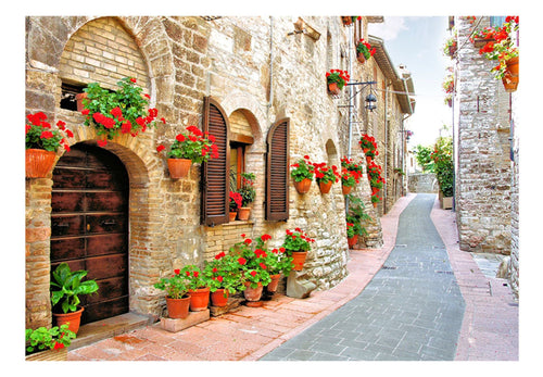 Papier Peint - Italian Province - Intissé