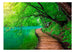Papier Peint - Green Peace - Intissé