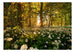 Papier Peint - Forest Flora - Intissé