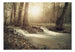 Papier Peint - Forest Cascade - Intissé