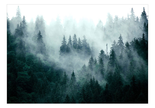 Papier Peint - Mountain Forest Dark Green - Intissé