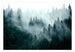 Papier Peint - Mountain Forest Dark Green - Intissé
