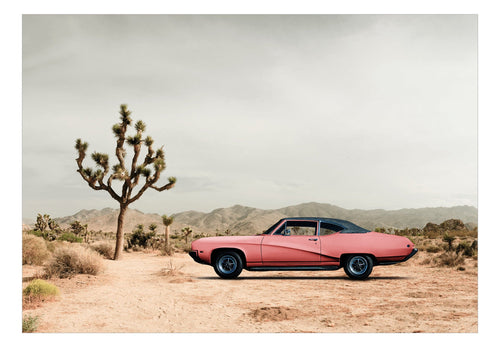 Papier Peint - Desert California - Intissé