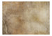 Papier Peint - Golden Leaves of Time - Intissé