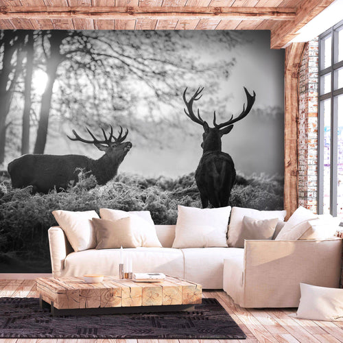 Papier Peint - Deers in the Morning - Intissé