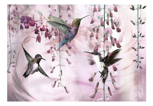Papier Peint - Flying Hummingbirds Pink - Intissé