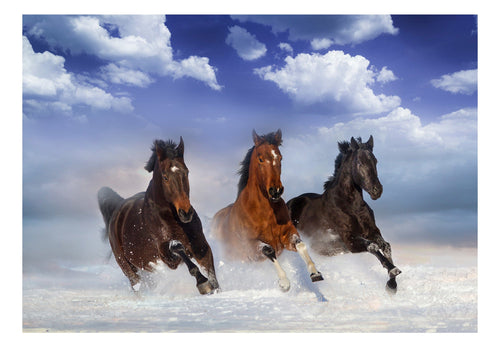 Papier Peint - Horses in the Snow - Intissé