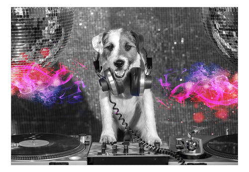 Papier Peint - Dj Dog - Intissé