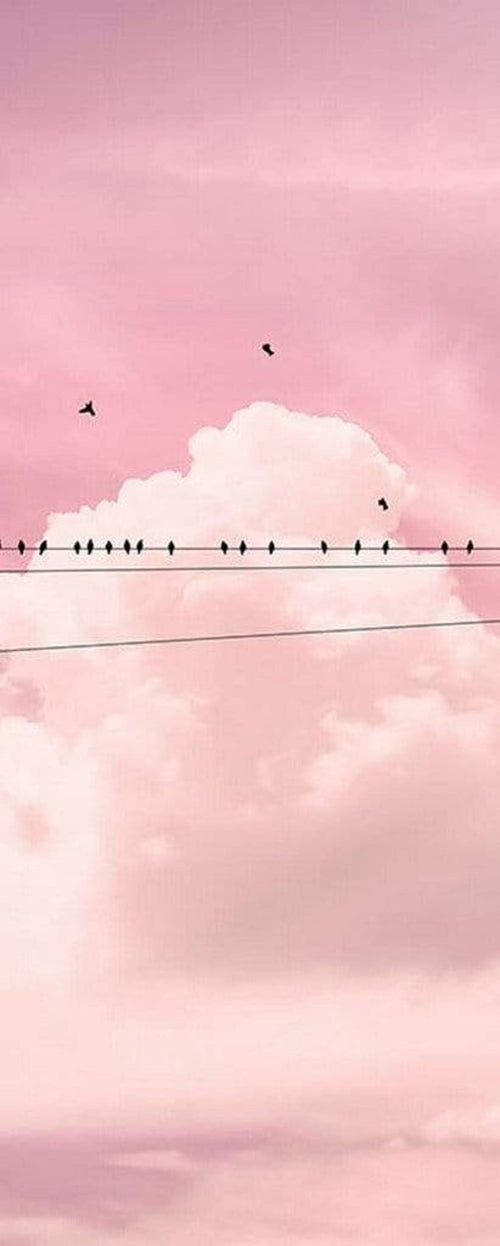 Komar Cloud Wire Papier Peint Intissé 100x250cm 1 bande | Yourdecoration.fr