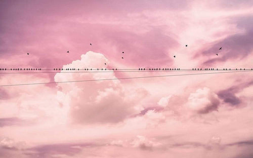 Komar Cloud Wire Papier Peint Intissé 400x250cm 4 bandes | Yourdecoration.fr