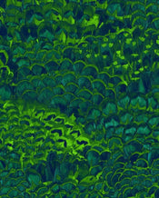 Komar Feathers Papier Peint Intissé 200x250cm 2 bandes | Yourdecoration.fr