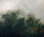 Komar Tales of the Carpathians Papier Peint Intissé 300x250cm 3 bandes | Yourdecoration.fr