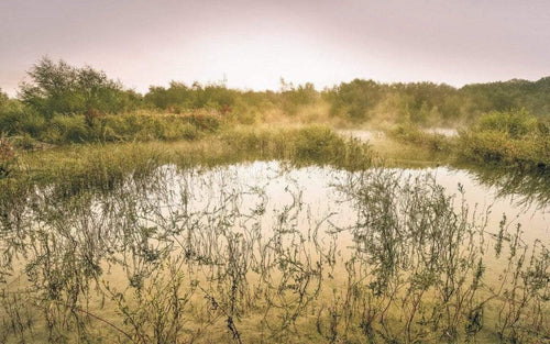 Komar Morning View II Papier Peint Intissé 400x250cm 4 bandes | Yourdecoration.fr