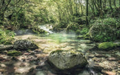 Komar Tranquil Pool Papier Peint Intissé 400x250cm 4 bandes | Yourdecoration.fr