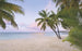 Komar Paradise Morning Papier Peint Intissé 400x250cm 4 bandes | Yourdecoration.fr