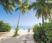 Komar Palmy Beach Papier Peint Intissé 300x250cm 3 bandes | Yourdecoration.fr