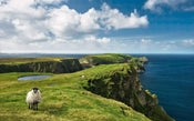 Komar Green Ireland Papier Peint Intissé 450x280cm 9 bandes | Yourdecoration.fr
