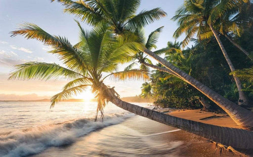 Komar Strandgeheimnis Papier Peint Intissé 450x280cm 9 bandes | Yourdecoration.fr