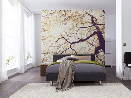 Komar Sunshine Papier Peint 250x250cm 5 bandes ambiance | Yourdecoration.fr